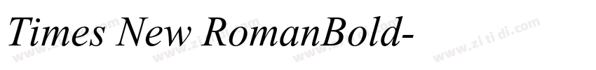 Times New RomanBold字体转换